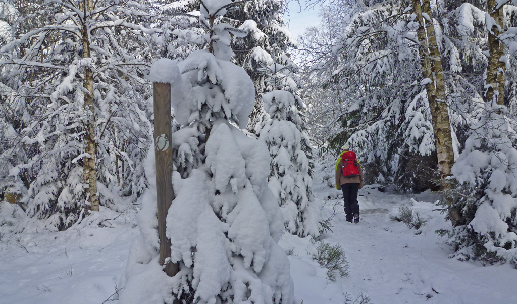 harzer-hexenstieg-im-winter