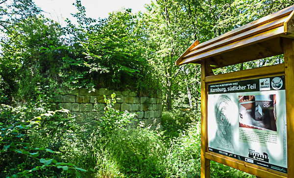 Burgruine am Selketalstieg
