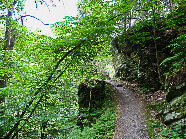Wandern im Harz