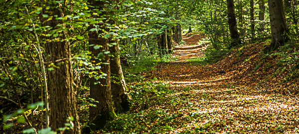 herbstwanderung