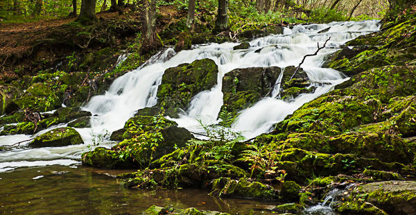selkefall