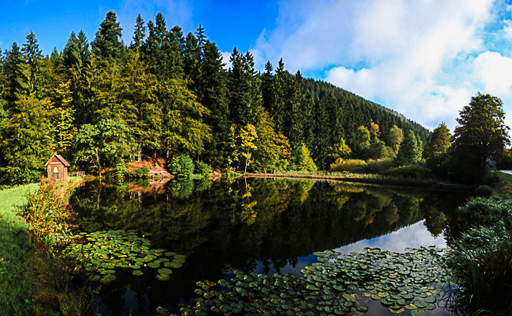 Lerbach am Hexenstieg