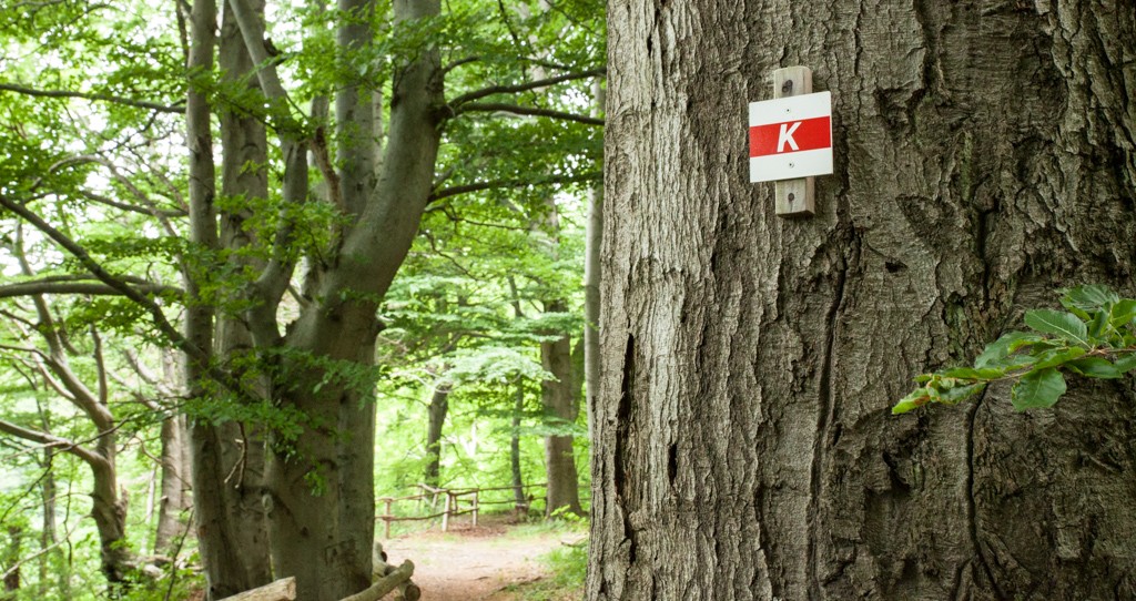 wandern im harz