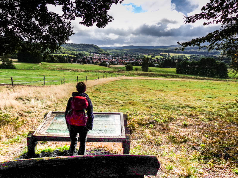 steinway-trail wolfshagen