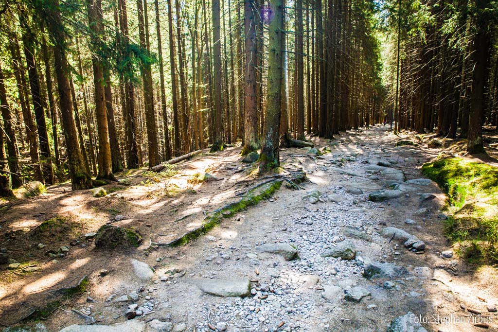 Wanderweg zum Brocken