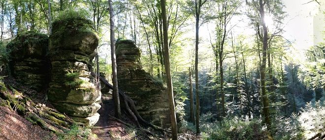 himmelfahrt im harz