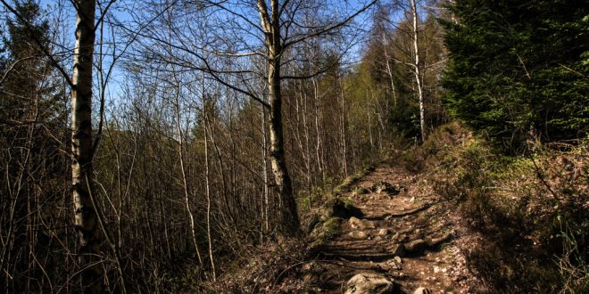 wanderweg stempelstelle