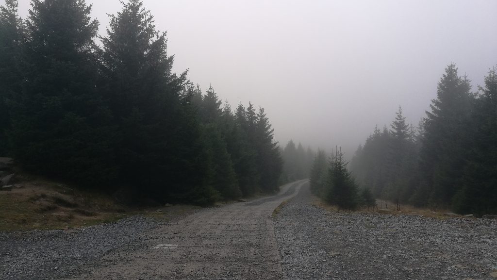 kolonnenweg-harz