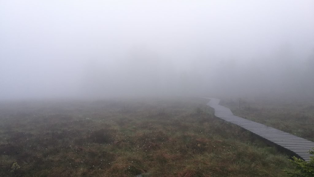 nebel im harz