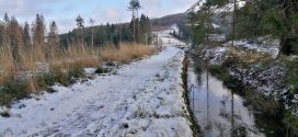 winter im harz