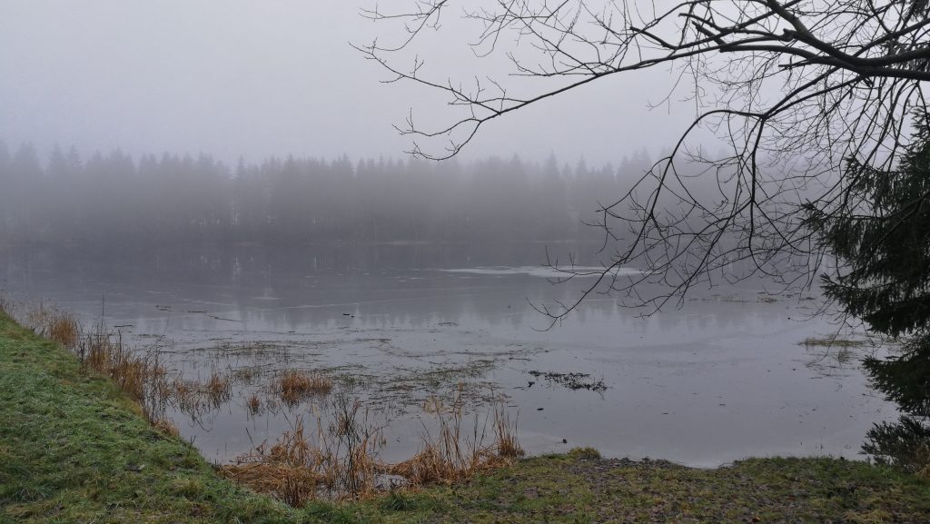 teich im harzer nebel