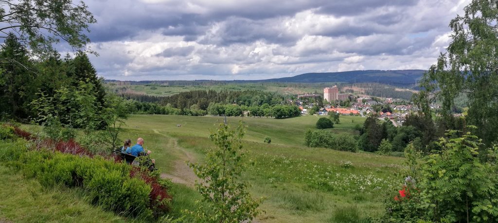 bergwiese harz