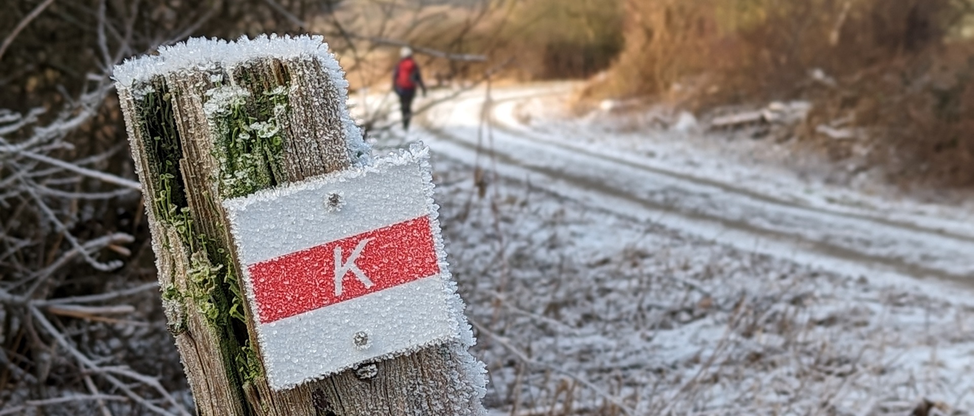 Karstwanderweg im Winter 2024