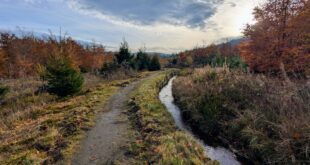 herbst am hexenstieg