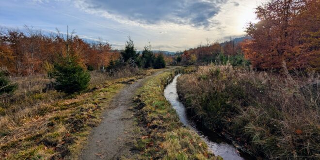herbst am hexenstieg