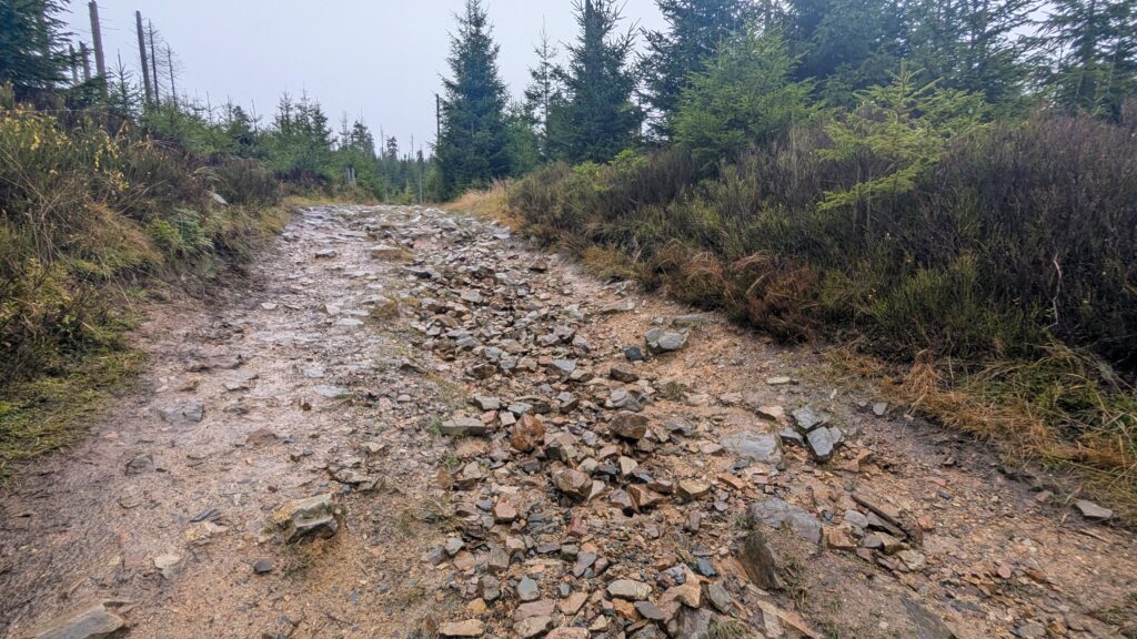 bodenerosion im harz