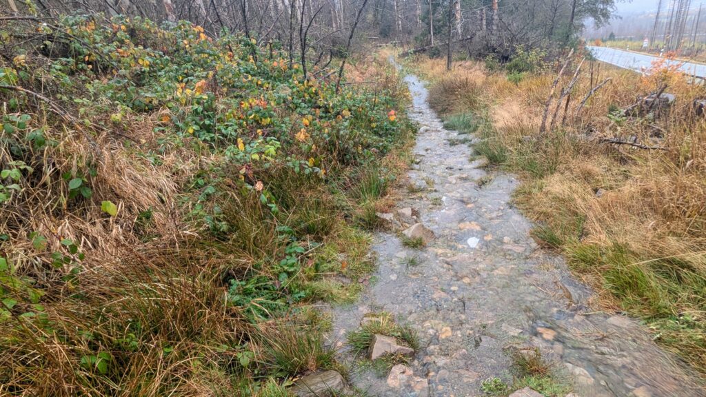 buttersteig im regen
